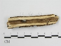 登錄號:F0012928藏品圖，第3張