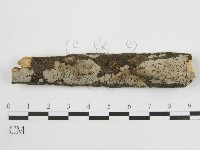 登錄號:F0012929藏品圖，第1張