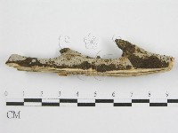 登錄號:F0012929藏品圖，第3張