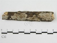 登錄號:F0012929藏品圖，第5張