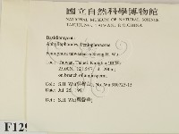 登錄號:F0012930藏品圖，第2張