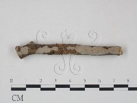 登錄號:F0012930藏品圖，第1張