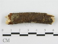登錄號:F0012931藏品圖，第3張