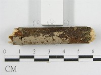 登錄號:F0012931藏品圖，第4張