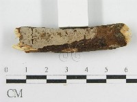 登錄號:F0012931藏品圖，第5張