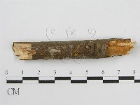 登錄號:F0012932藏品圖，第3張