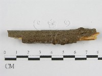 登錄號:F0012932藏品圖，第4張