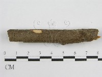 登錄號:F0012932藏品圖，第5張