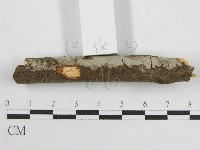 登錄號:F0012932藏品圖，第6張