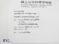 登錄號:F0012933藏品圖，第2張
