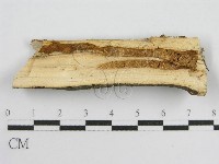 登錄號:F0012933藏品圖，第3張