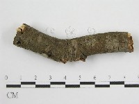 登錄號:F0012934藏品圖，第1張