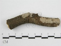 登錄號:F0012934藏品圖，第3張