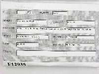 登錄號:F0012935藏品圖，第2張