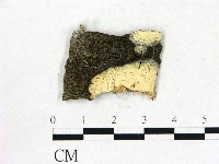 登錄號:F0012936藏品圖，第1張