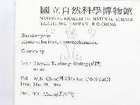 集毛菌屬藏品圖，第2張