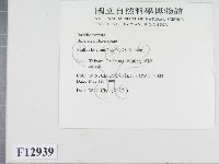 登錄號:F0012939藏品圖，第2張