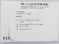 紅菇屬藏品圖，第2張