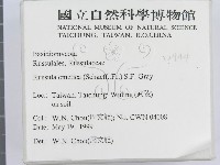 登錄號:F0012944藏品圖，第2張