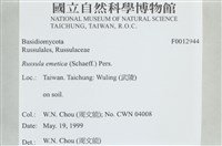 登錄號:F0012944藏品圖，第4張