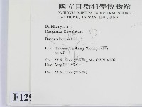 登錄號:F0012945藏品圖，第2張