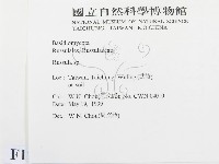 紅菇屬藏品圖，第2張