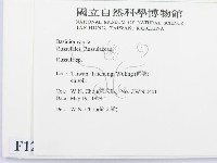 紅菇屬藏品圖，第2張