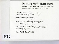 登錄號:F0012948藏品圖，第2張