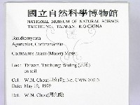 登錄號:F0012949藏品圖，第2張