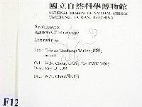 登錄號:F0012951藏品圖，第2張