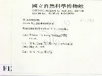 登錄號:F0012952藏品圖，第2張