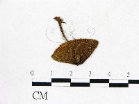 登錄號:F0012952藏品圖，第3張