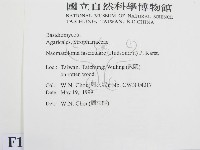 登錄號:F0012953藏品圖，第2張