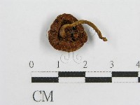 登錄號:F0012953藏品圖，第4張