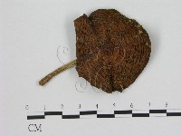 登錄號:F0012955藏品圖，第1張