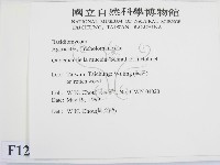 登錄號:F0012956藏品圖，第2張