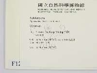 小菇屬藏品圖，第2張