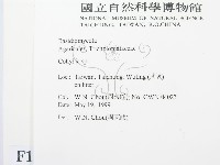 登錄號:F0012959藏品圖，第2張