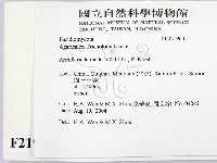 微皮傘屬藏品圖，第2張