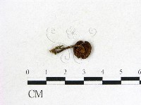 登錄號:F0012962藏品圖，第3張