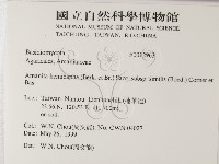 登錄號:F0012963藏品圖，第2張