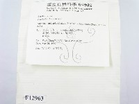 登錄號:F0012963藏品圖，第4張