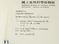 登錄號:F0012964藏品圖，第2張