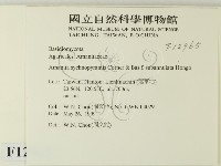 登錄號:F0012965藏品圖，第2張