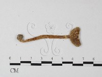 登錄號:F0012965藏品圖，第3張