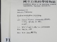 登錄號:F0012966藏品圖，第2張