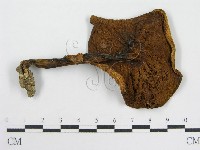登錄號:F0012967藏品圖，第3張
