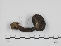 登錄號:F0012968藏品圖，第1張
