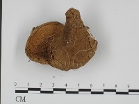 登錄號:F0012969藏品圖，第3張