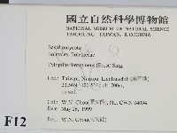 登錄號:F0012970藏品圖，第2張